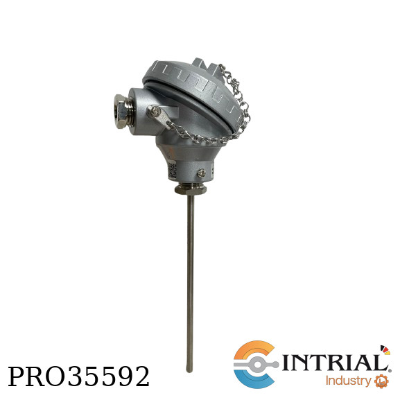 Resistance thermometer 2 x Pt 100 6 mm lenght 170 mm