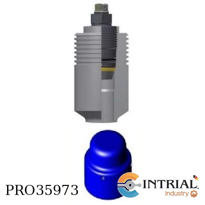 Access Fitting Two Inch with Hollow Plug and Cover COSASCO