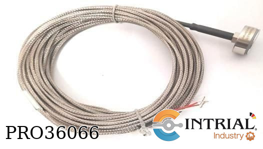 Pt-100, imantado, 10m cable (temperature range magnet: -50 to +500°C)