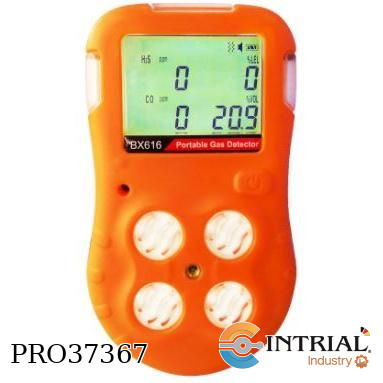 Multi Gas Detector