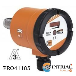 Calorimetric Flowswitch, compact version
