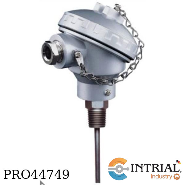 Termometro resistencia 250ºC, 160 mm