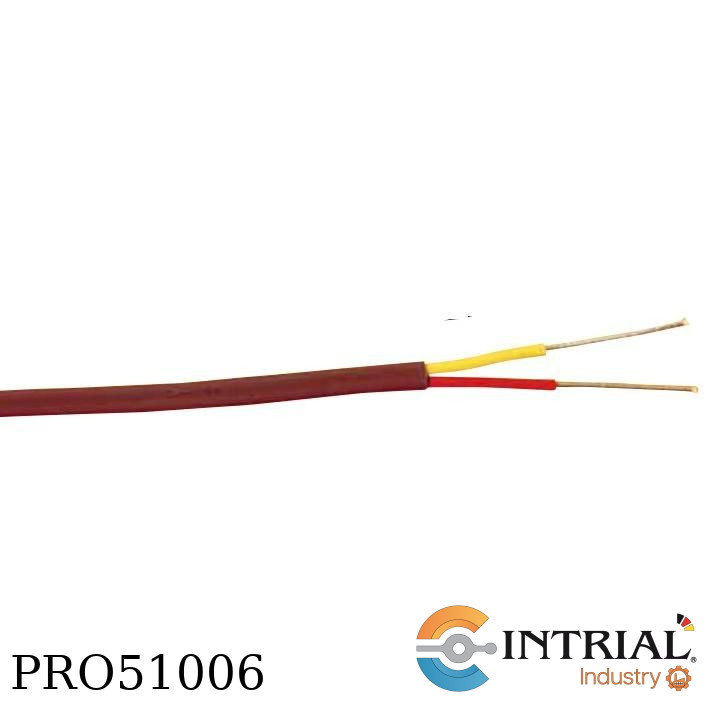 CABLE THERMOCOUPLE MODEL: TT-K-20-S-100