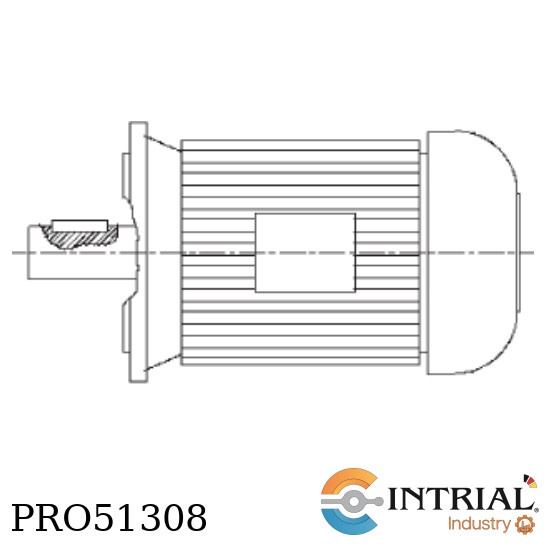 ELECTRIC MOTOR WAMGROUP
