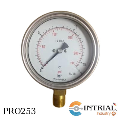 Manómetro 4''(100mm), 1/2" NPT BRONCE 16 bar