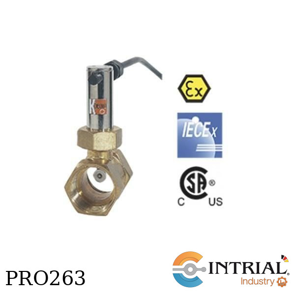 Paddle Flow Monitor for Liquids PSR, 7.7-13.4 L/min, Brass, G 3/4", Cable 4.0 mts