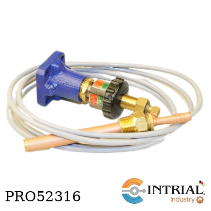 PILOTO DE TEMPERATURA SPIRAX SARCO T-2(50-85°C)