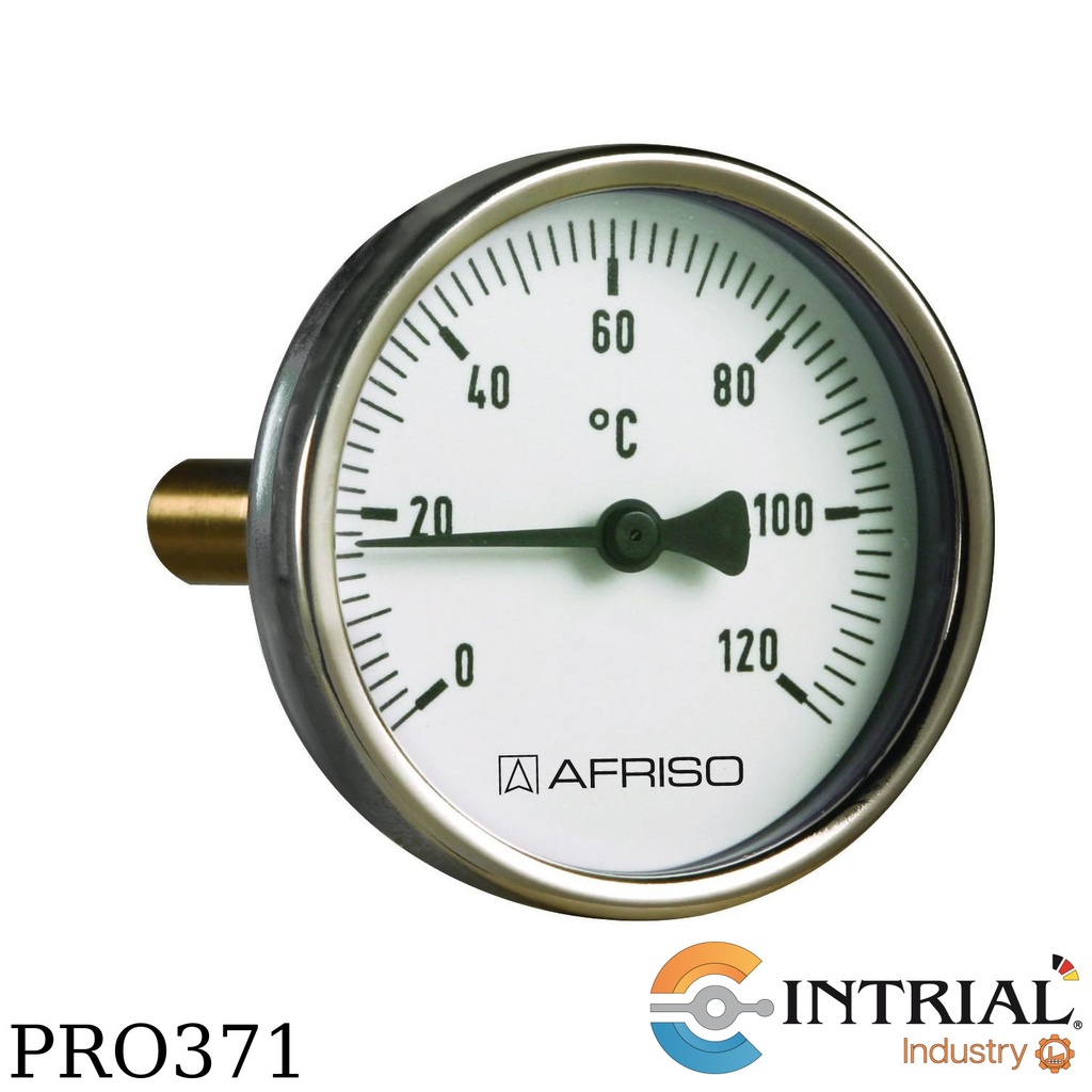Termometro Bimetalico BiTh100ED312(0 a 300ºC)