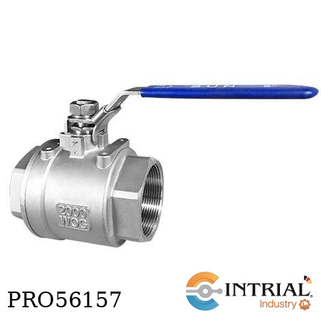 VALVULA GLOBO SUN 1/2" NTP 316L