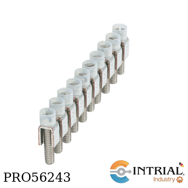PUENTE FIJO PHOENIX FBI-10-8