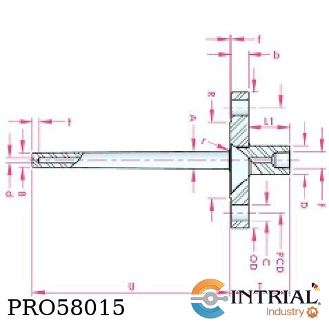 TERMOPOZO RECTO BRIDADO INTRIAL 6.4x100mm.1/2”NPT
