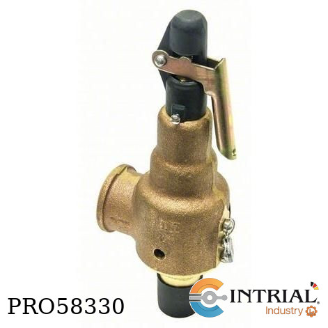 Safety Relief Valve KUNKLE VALVE 200 psi 1/2 in  3/4 in 1-5/8 in