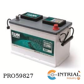 BATERIA ENERGYCUBE FIAMM 12 V 100 Ah