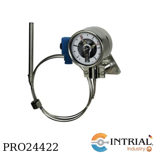 TERMÓMETRO DE GAS (0-100 °C)