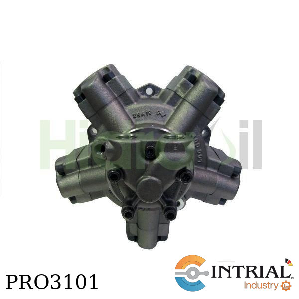 Hydraulic radial piston motor