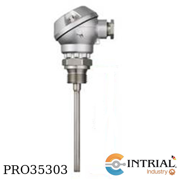 Screw-in resistance thermometer, 2 x Pt 100 Ohm DIN EN 60751, Kl. B, 6 mm, insertion length 55 mm, t