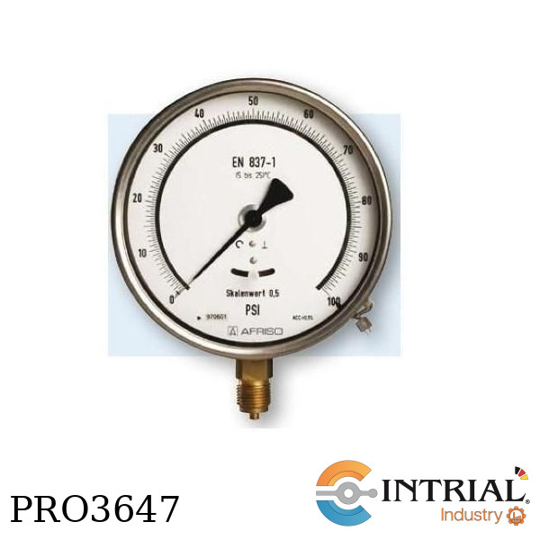 MANOMETRO PATRON TIPO BOURDON , 160 mm, 1/2 npt,  a 10 Bar