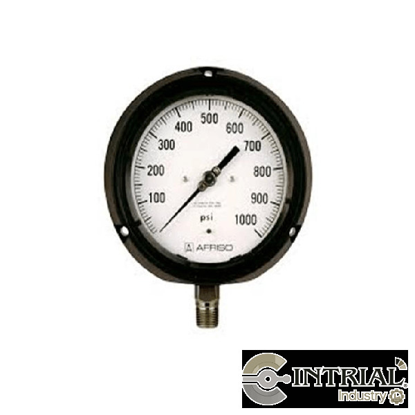 Manometro Fenolico con sello de diafragma (0 a 10 bar/150 psi)