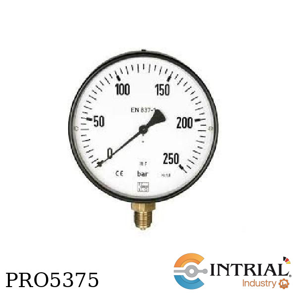 All Stainless Steel- Pressure Gauges with Bourdon Tube