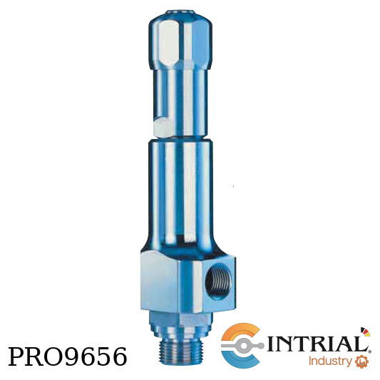 VALVULA DE SEGURIDAD Y ALIVIO TIPO 437 LESER 15.25 barg 3/4"MNPT X 1"FNPT