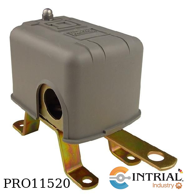 Float Switch, NEMA 1, 2NC