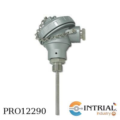 Pt-100, 6mm, 38mm, G1/2, SS316, 400C