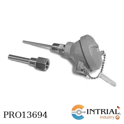 Pt-100, 114.3mm, 1/2Npt, SS316; 4-20 mA, Thermowell