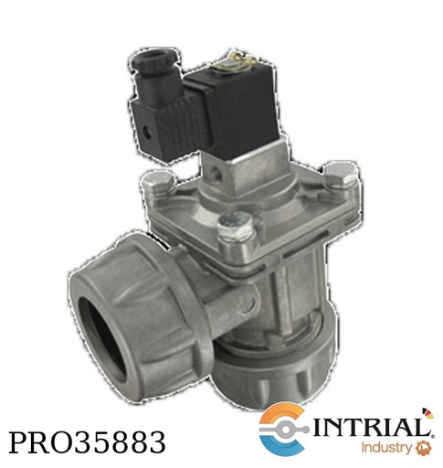 [DCS25T1D] SPRINGLESS DIAPHRAGM VALVES, NPT , 1˝, Integral