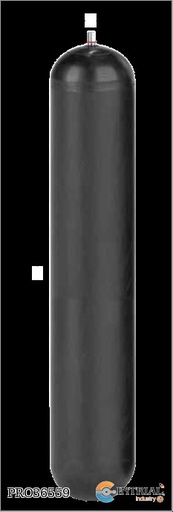 [EHV50-330/90D50MM] VEJIGA ACUMULADOR EHV50-330/90 D50 MM