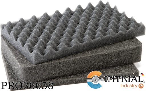 [INT7447627-FOAM] ESPUMA PARA MALETA INT7447627