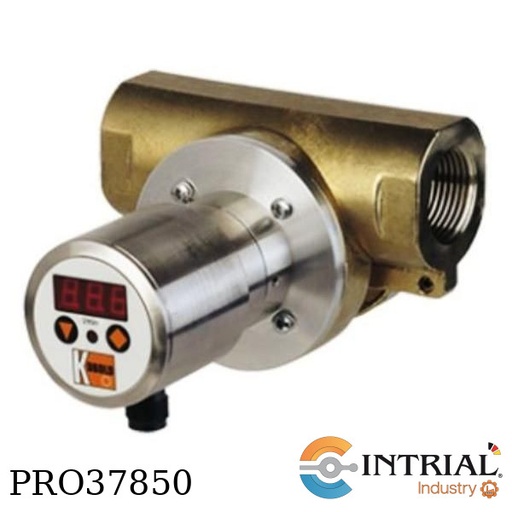 [DRG-11-30-N5-C34P] Rotating Vane Flowmeter DRG