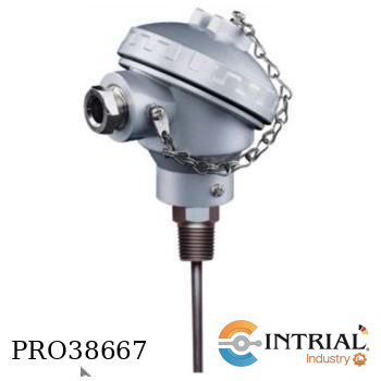 [MWD-L-8-N15-C-3-G-A-0-100mm] Termometro resistencia, 250C, 100mm, 1/2" NPT