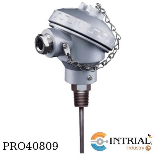 [MWD-L-4+660286+CERTF-INA] Termometro resistencia, 250C, 100mm, 1/4" NPT