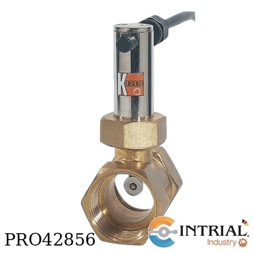 [PSR-11-257-R-25-R-4] Interruptor de flujo tipo paleta (17.7-26.8 L/min)
