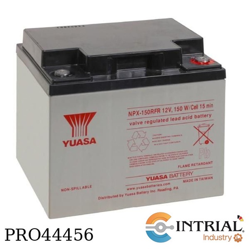 [NPX-150RFR] Batería, 12V, 40AH