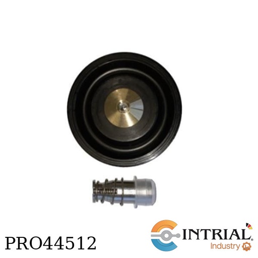 [RK-W001] ​REPAIR KIT, Diaphragm Plunger assembly O-ring