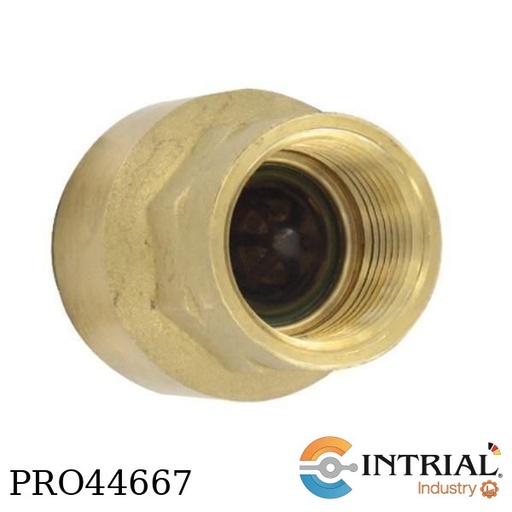 [BICV-0F04] ​BRASS INLINE CHECK VALVE, 1˝