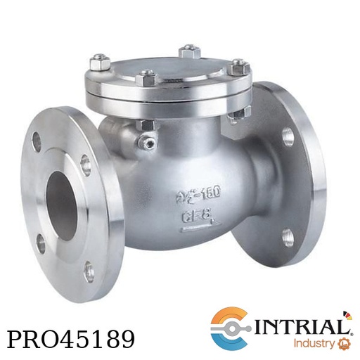 [SWINGCHECKVALVE-6] ​SWING CHECK VALVE 6, PTFE