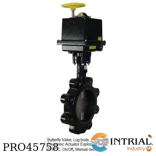 [WE20-DTH05-LE-D] SERIES WE20 | W.E. ANDERSON BUTTERFLY VALVE