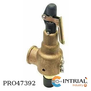 [6010JHM01-AM] SAFETY RELIEF VALVE