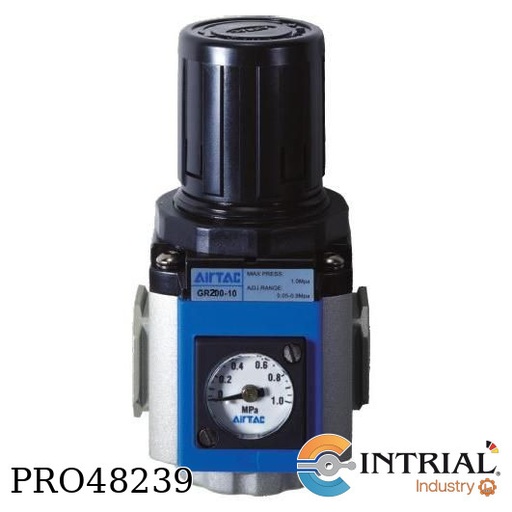 [GR30010C2T] Regulador - Serie 300 - 3/8" - Con S oporte - Circular - 145 Psi - Npt