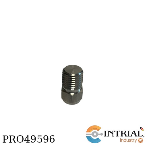 [SS-PP-NT4] Tapon Tuberia SS 1/4 MNPT