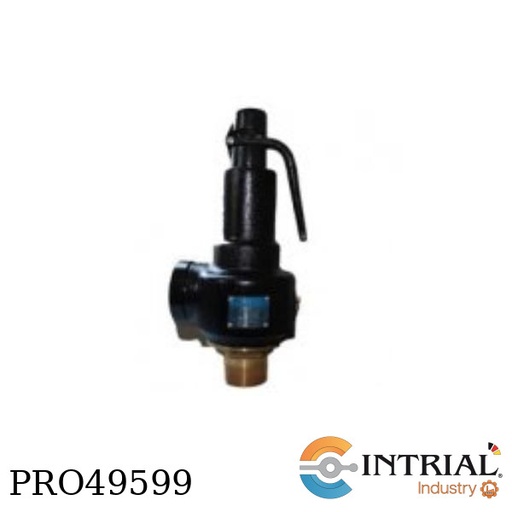 [PRO49599] VALVULA DE SEGURIDAD, 250 Psi