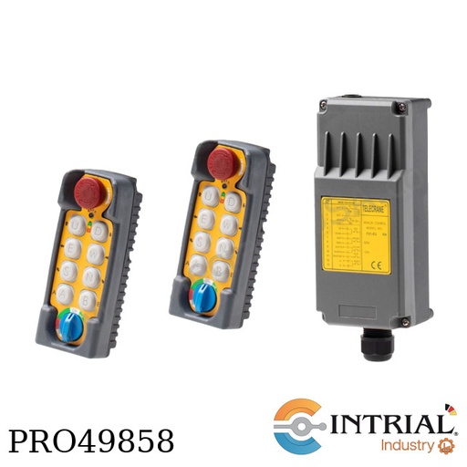 [F21-E2-2TR] TELECRANE F21-E2 Radio Remote Controller Telecrane F21-E2-2TR (2Tx+1Rx) – 220 VAC