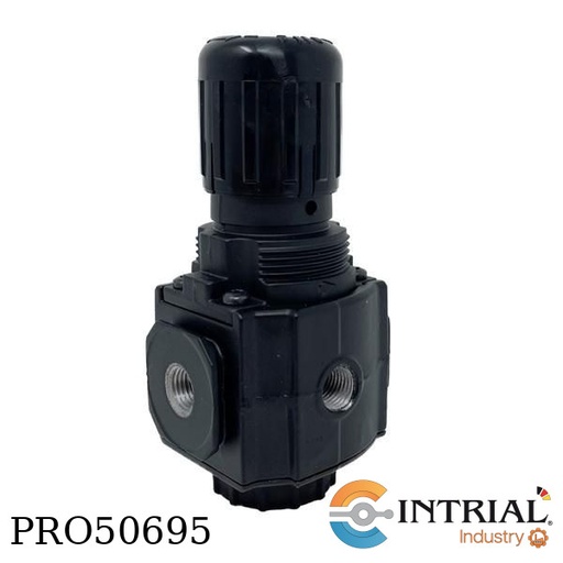 [R73G-2AK-RMG] REGULADOR DE PRESIÓN, 1/4″ PTF