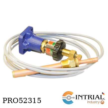 [T-2(35-70C)] PILOTO DE TEMPERATURA SPIRAX SARCO T-2(35-70°C)