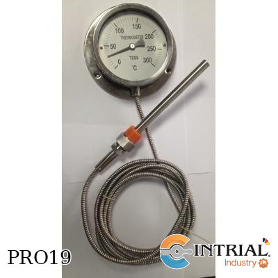 [Tess(Dial100MM,0-300&deg;C,Cable3MT)] Termometro distancia cable actuado, 3m, 1/2''NPT, Dial 4'',300 °C