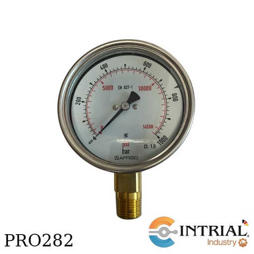 [RF100,D401(86541401)] Manometro 4'' Inf. Bronce (0 a 1000 bar/0 a 14500 psi)