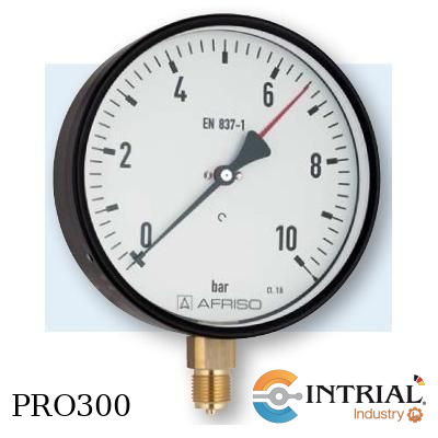 [RF100,D101(85214101N4Z069)] Manómetro tipo Bourdon 1/2''NPT 6 bar/psi