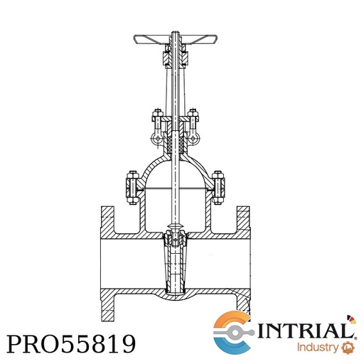 [FIG.360] ​GATE VALVE OUTSIDE SCREW RT VALVES  EN1092-1/21/B2 – PN100 DN 50